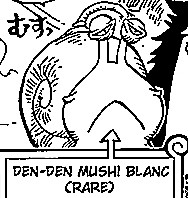 Escargophone blanc